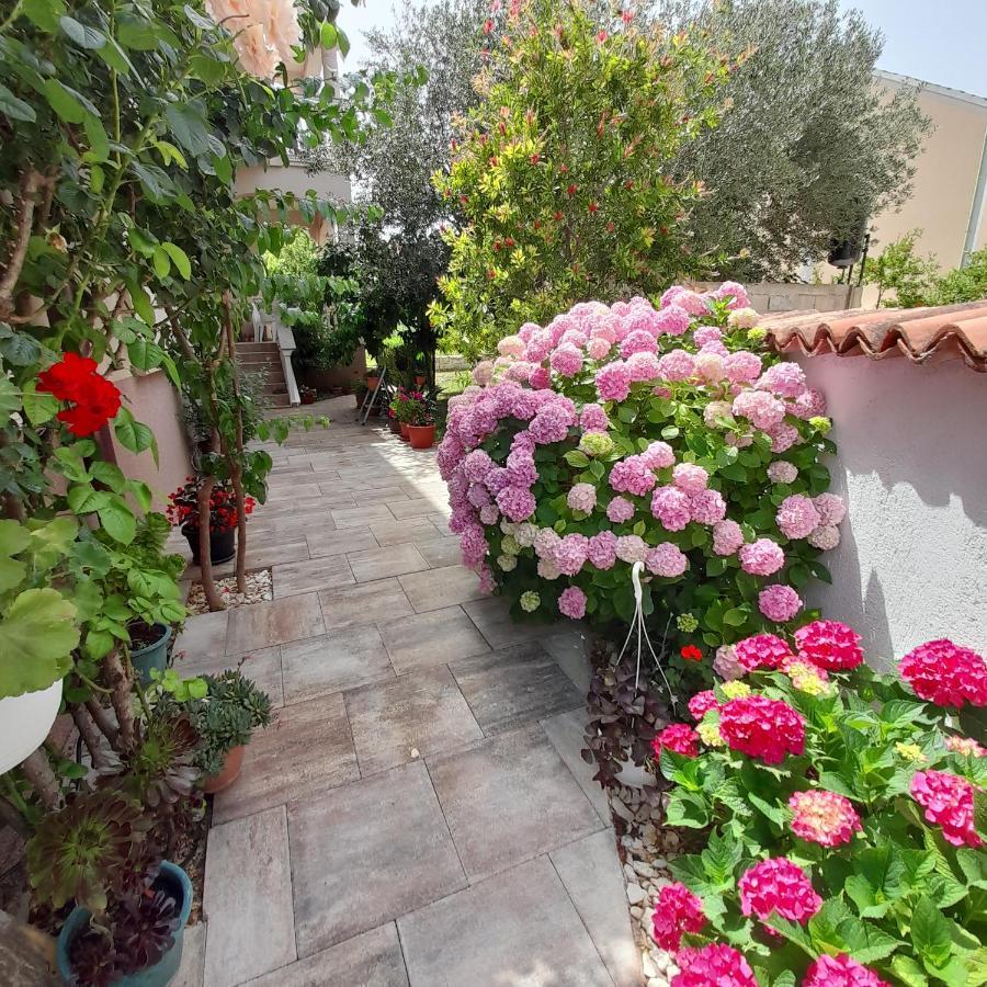 Apartments Filipovic Biograd Na Moru Exterior photo